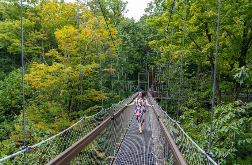The Holden Arboretum, United States